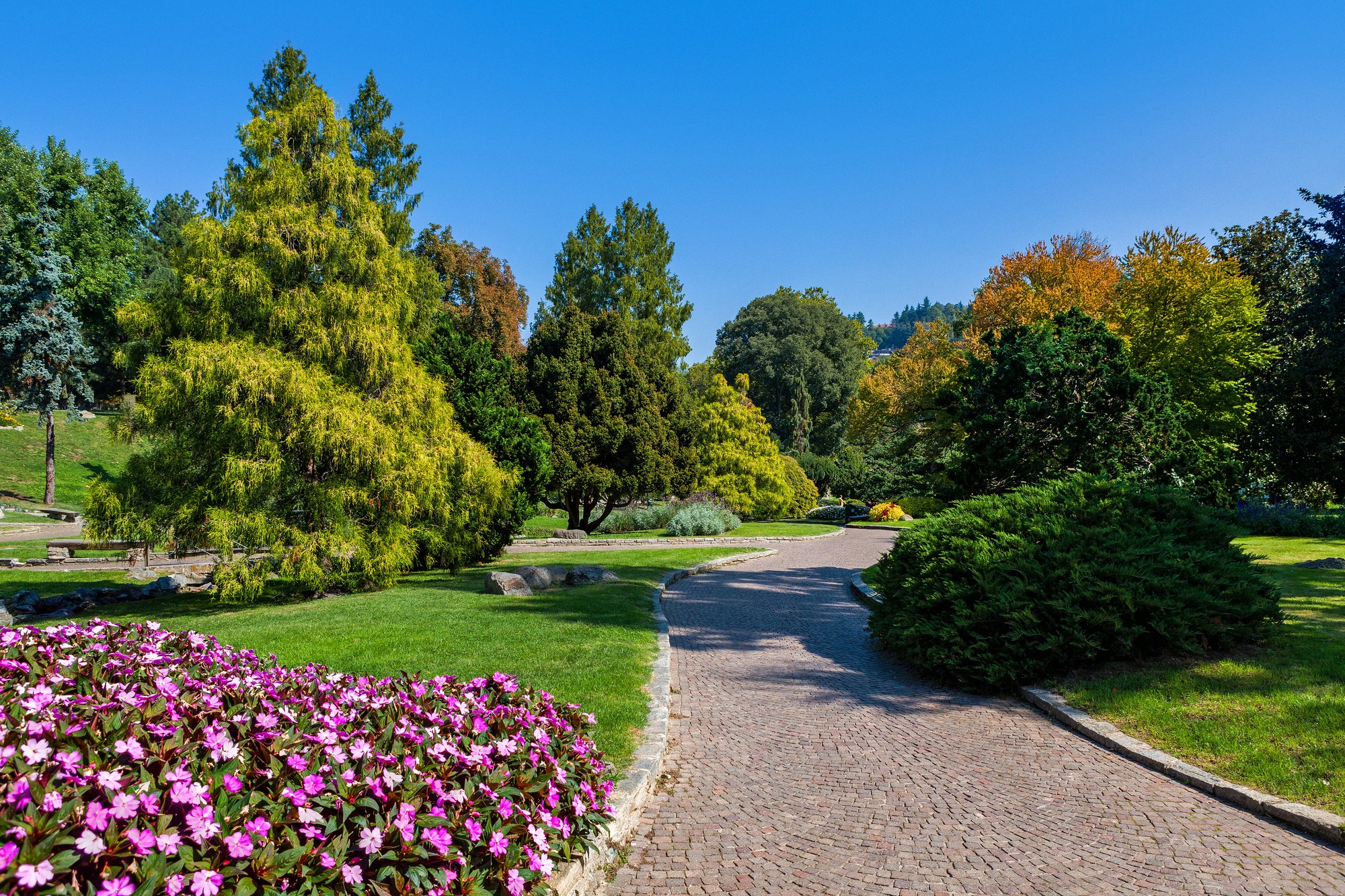Blühende Grünfläche des Parco del Valentino mit Herbstfarbigen Bäumen und Kopfsteinpflaster-Gehweg.